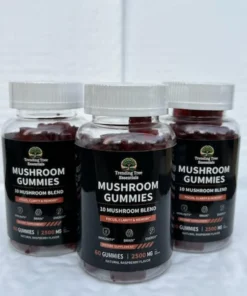 Mushroom Gummies - 10 Blend (60 count)