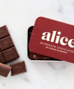 Alice Mushroom Chocolate