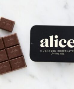 Alice Mushroom Chocolate