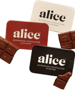 Alice Mushroom Chocolate