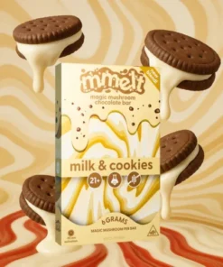 mmelt mushroom chocolate